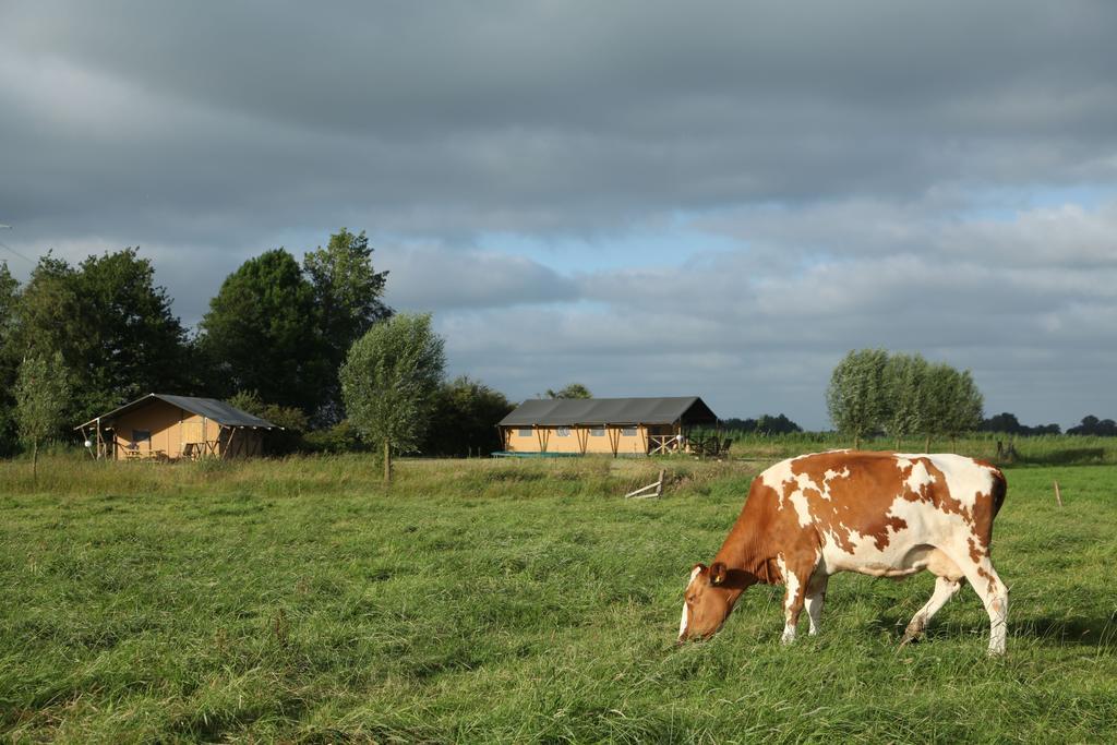 Aan Het Diepje Lettelbert エクステリア 写真